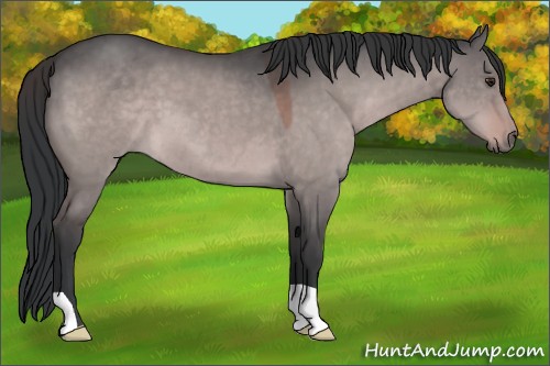 Horse Color:Platinum Brown Dun 