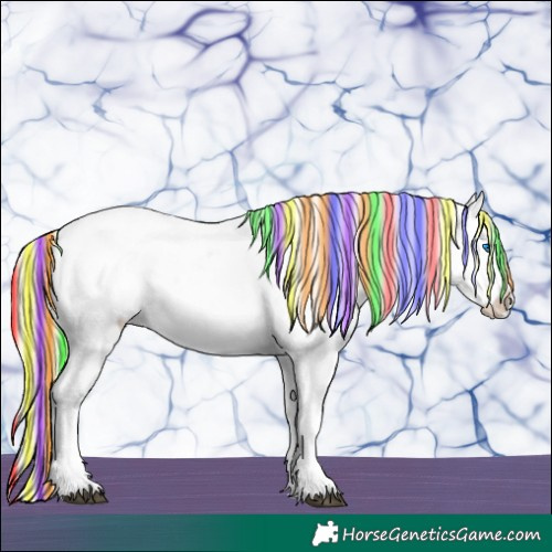 Horse Color:Painted Palomino Sabino Splash Blanket 