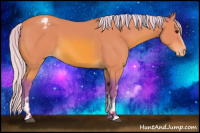 Horse Color:Watercolor White Spotted Silver Bay Appaloosa 