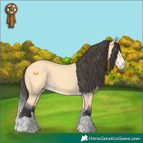 Horse Color:Buckskin Dun Splash 