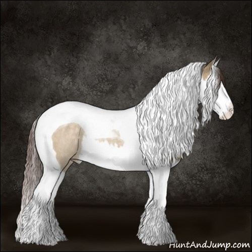 Horse Color:Buckskin Dun Splash Tobiano Appaloosa Rabicano 