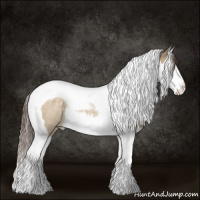 Horse Color:Buckskin Dun Splash Tobiano Appaloosa Rabicano