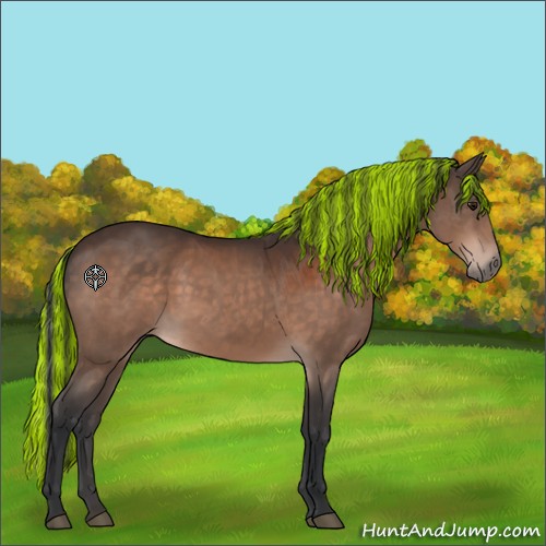 Horse Color:Painted Brown 