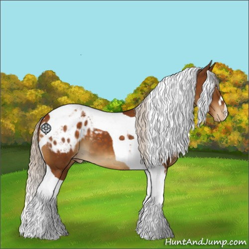 Horse Color:Silver Buckskin Tobiano Appaloosa 