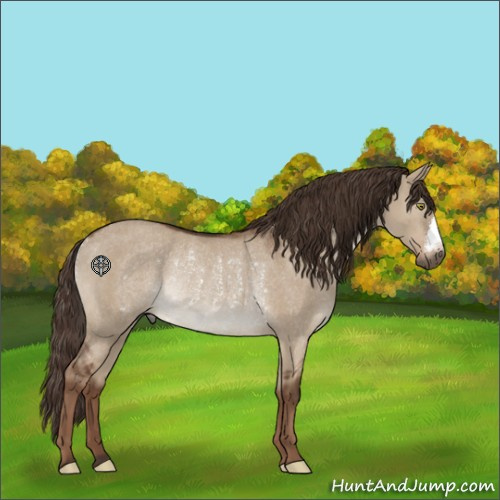 Horse Color:Liver Red Dun Rabicano 