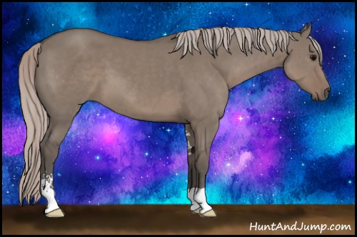 Horse Color:Silver Grullo Sabino 