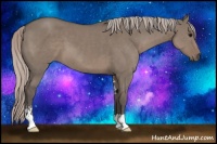 Horse Color:Silver Grullo Sabino 
