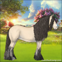 Horse Color:Buckskin Dun Splash 