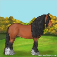 Horse Color:Bay Tobiano 
