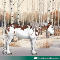 Horse Color:White Spotted Silver Brown Splash Frame Rabicano 