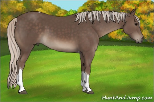 Horse Color:Silver Black Tobiano 