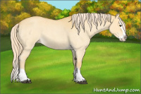Horse Color:Palomino Roan Dun Splash