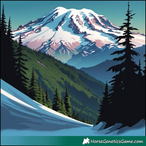 Horse Color:Brown Appaloosa 