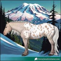 Horse Color:Silver Brown Dun Appaloosa 