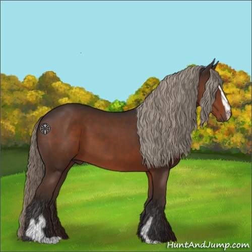 Horse Color:Liver Chestnut Sabino 