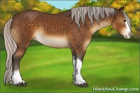 Horse Color:Silver Buckskin Splash Tobiano