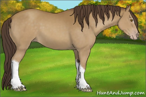 Horse Color:Classic Cream Champagne 