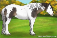 Horse Color:Smoky Black Splash Tobiano