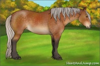 Horse Color:Silver Buckskin Sabino Rabicano 