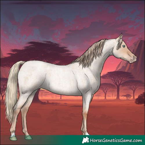Horse Color:Gold Champagne Roan Dun 
