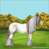 Horse Color:Red Dun Tobiano Appaloosa Rabicano 