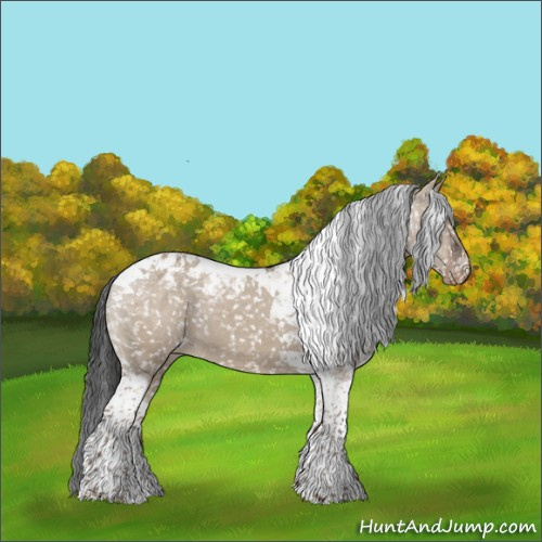 Horse Color:Liver Red Dun Tobiano Appaloosa 