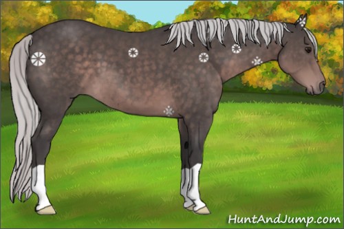 Horse Color:Platinum Silver Brown 