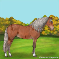 Horse Color:Silver Brown Ice 