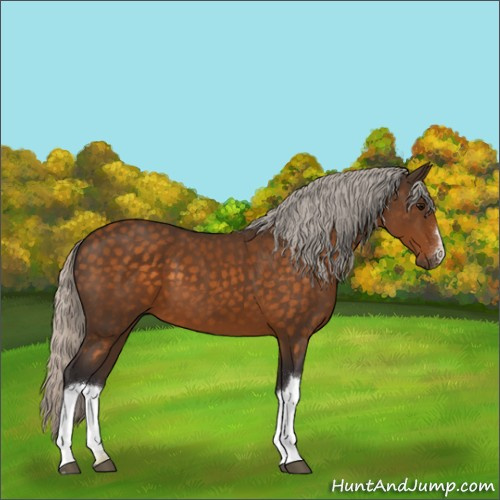 Horse Color:Silver Buckskin 