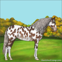 Horse Color:Silver Brown Mushroom Near Leopard 
