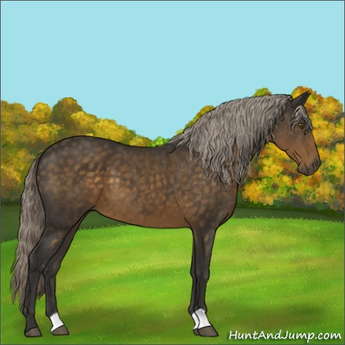 Horse Color:Chocolate Palomino 