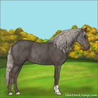 Horse Color:Silver Black 