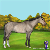 Horse Color:Brown Dun Rabicano 
