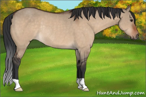 Horse Color:Brown Dun Rabicano 