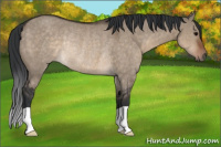 Horse Color:Brown Dun Rabicano 