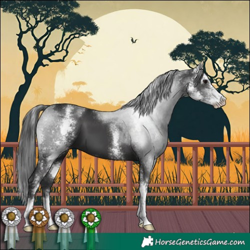 Horse Color:Black Sabino