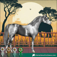 Horse Color:Black Sabino