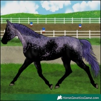 Horse Color:Void Watercolor White Spotted Brown Ice
