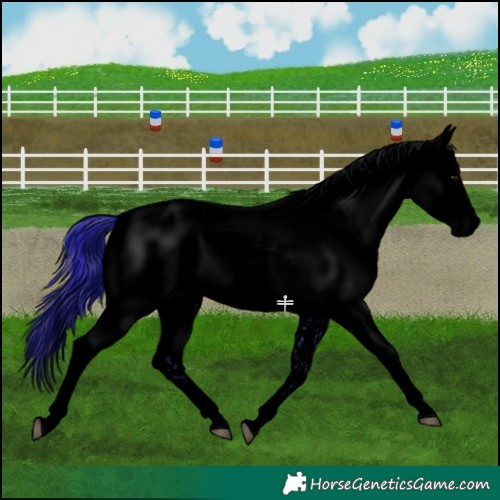 Horse Color:Void Watercolor White Spotted Black Ice 