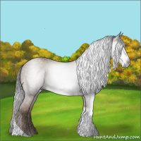 Horse Color:Gray Classic Champagne Tobiano 