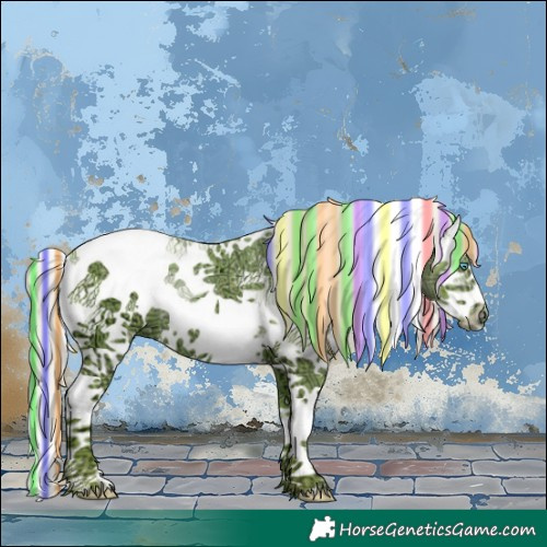 Horse Color:Painted Watercolor White Spotted Silver Black Ice Splash Tobiano Frame