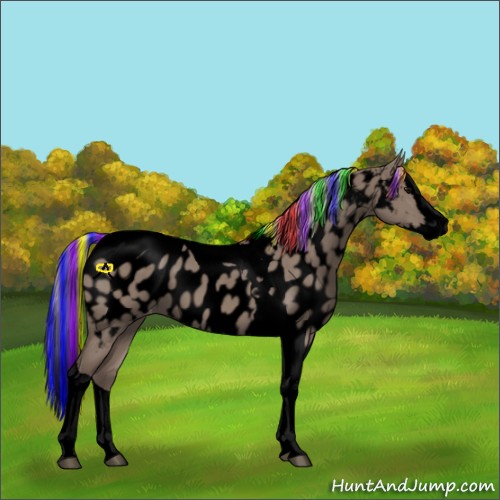 Horse Color:Void Painted Silver Grullo Splash Tobiano Near Leopard 
