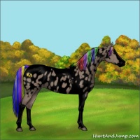 Horse Color:Void Painted Silver Grullo Splash Tobiano Appaloosa 