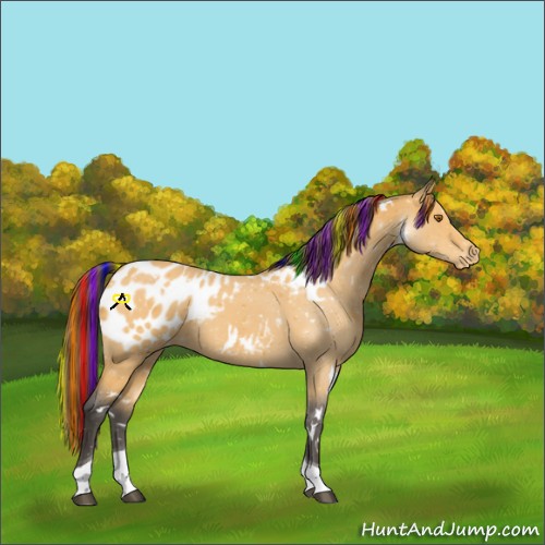 Horse Color:Painted White Spotted Buckskin Tobiano Blanket