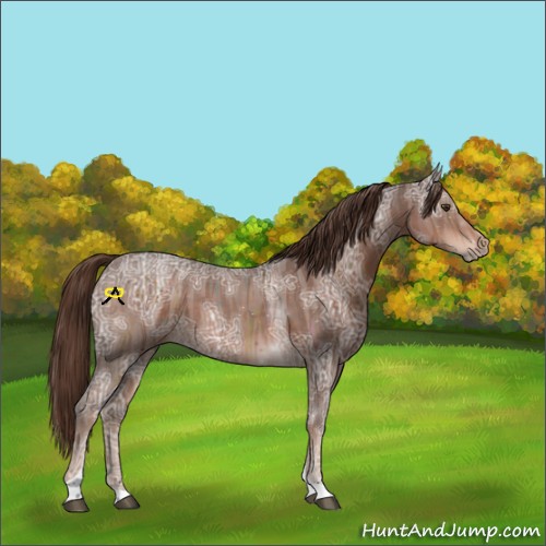 Horse Color:Liver Chestnut Ice Tobiano 