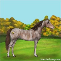 Horse Color:Liver Chestnut Ice Tobiano