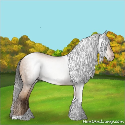 Horse Color:Gray Amber Champagne Tobiano Blanket