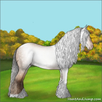 Horse Color:Gray Amber Champagne Tobiano Appaloosa