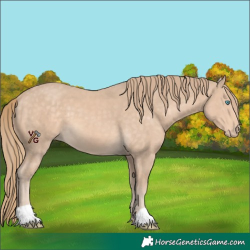 Horse Color:Perlino 