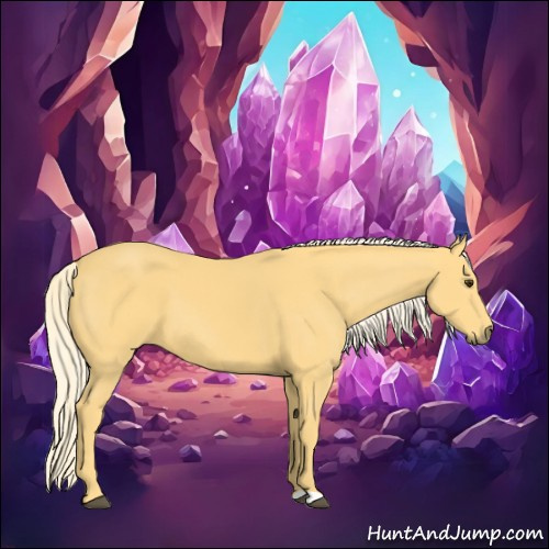 Horse Color:Palomino